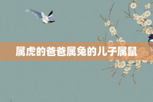 属虎的爸爸属兔的儿子属鼠