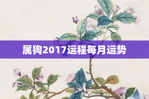 属狗2017运程每月运势