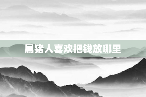 属猪人喜欢把钱放哪里
