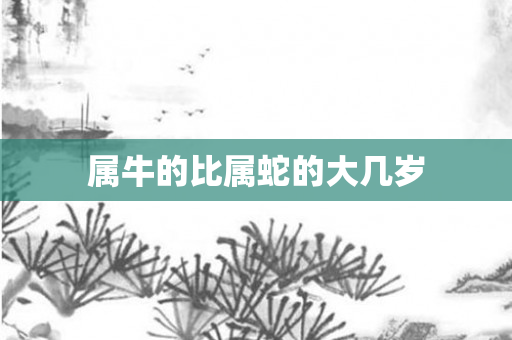 属牛的比属蛇的大几岁