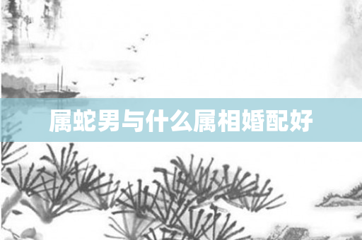 属蛇男与什么属相婚配好
