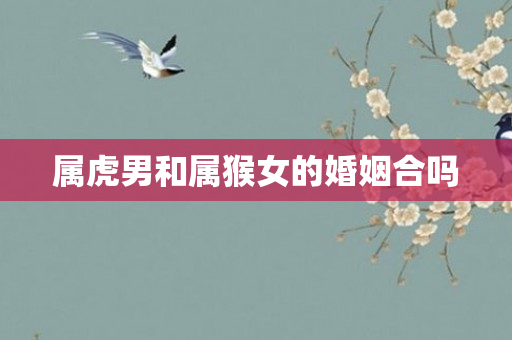 属虎男和属猴女的婚姻合吗