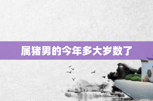 属猪男的今年多大岁数了