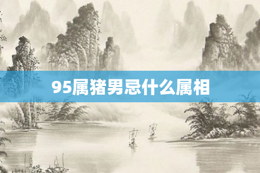 95属猪男忌什么属相