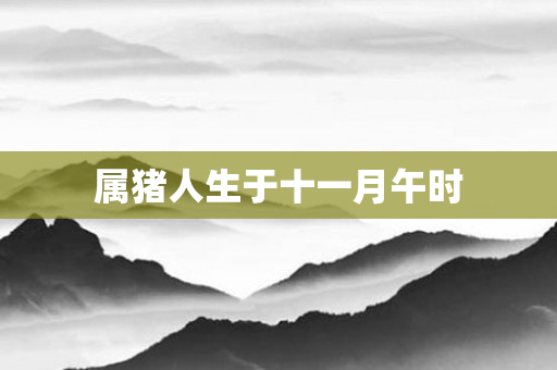 属猪人生于十一月午时