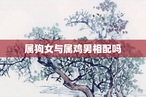 属狗女与属鸡男相配吗