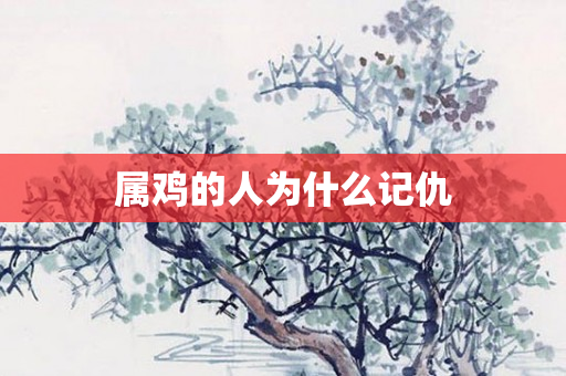 属鸡的人为什么记仇