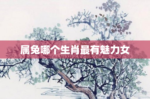属兔哪个生肖最有魅力女