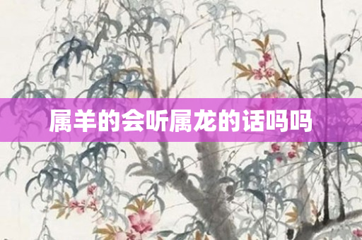 属羊的会听属龙的话吗吗