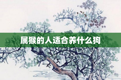 属猴的人适合养什么狗