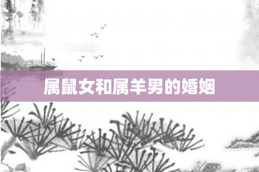 属鼠女和属羊男的婚姻