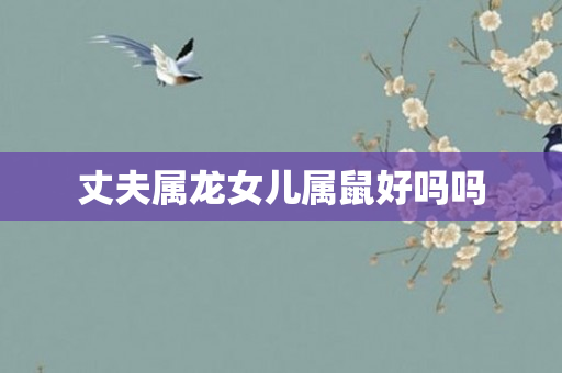 丈夫属龙女儿属鼠好吗吗