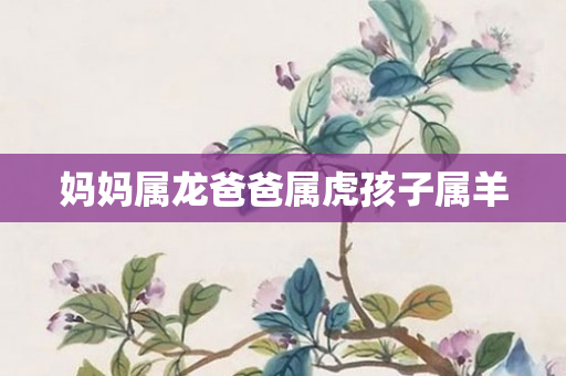 妈妈属龙爸爸属虎孩子属羊