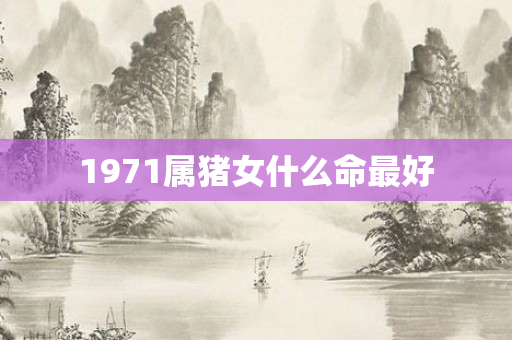 1971属猪女什么命更好