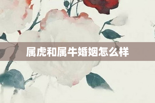 属虎和属牛婚姻怎么样