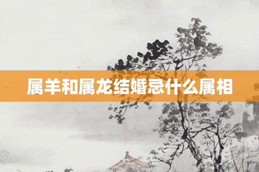 属羊和属龙结婚忌什么属相