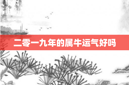 二零一九年的属牛运气好吗
