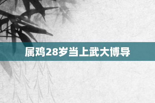 属鸡28岁当上武大博导