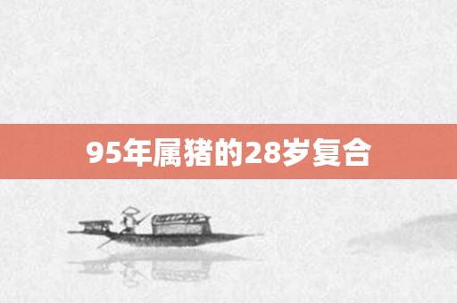 95年属猪的28岁复合