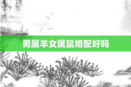 男属羊女属鼠婚配好吗