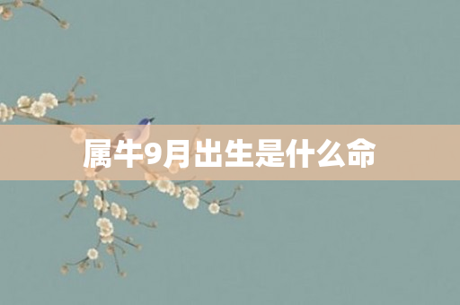 属牛9月出生是什么命