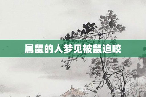属鼠的人梦见被鼠追咬