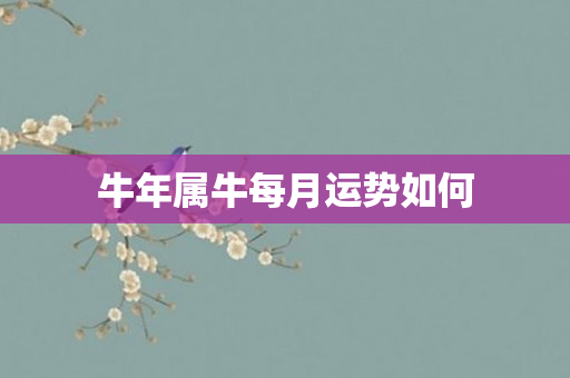 牛年属牛每月运势如何