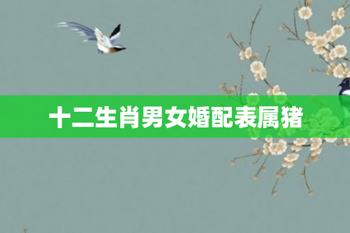 十二生肖男女婚配表属猪