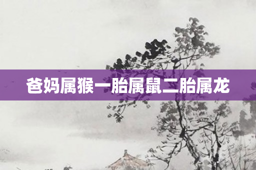 爸妈属猴一胎属鼠二胎属龙