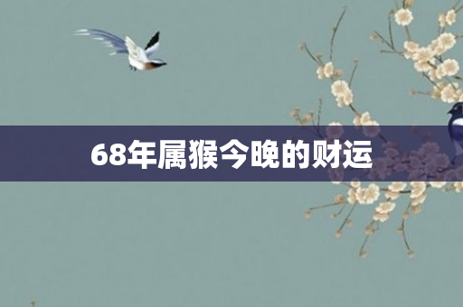 68年属猴今晚的财运