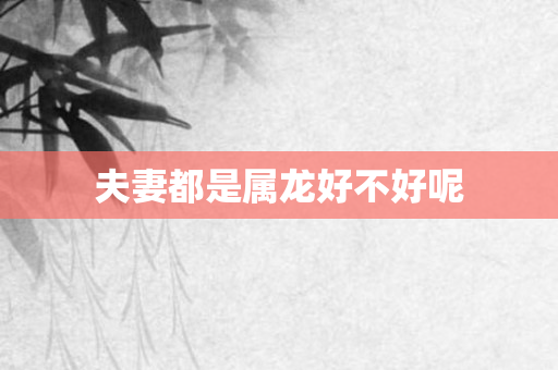 夫妻都是属龙好不好呢