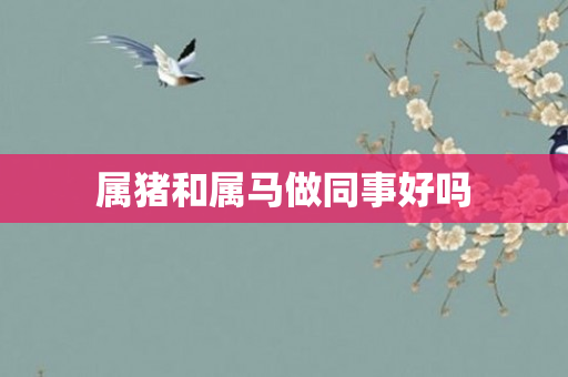 属猪和属马做同事好吗