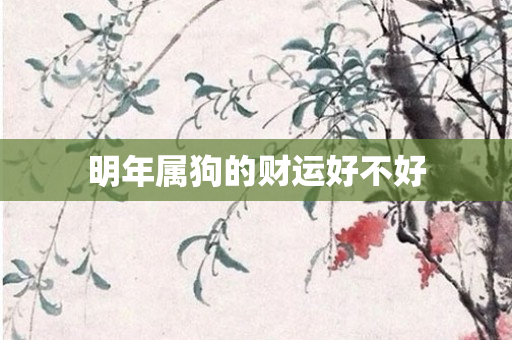 明年属狗的财运好不好