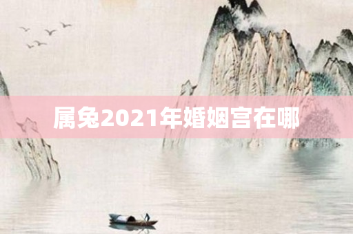 属兔2021年婚姻宫在哪