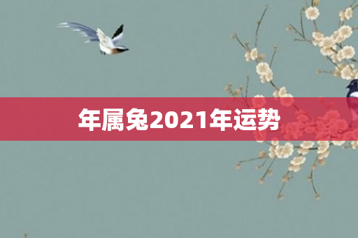 年属兔2021年运势