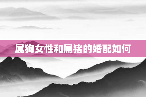 属狗女性和属猪的婚配如何