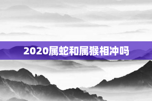 2020属蛇和属猴相冲吗