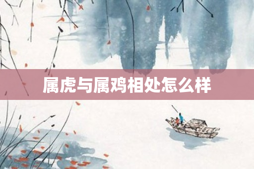 属虎与属鸡相处怎么样