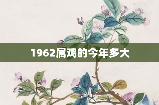 1962属鸡的今年多大