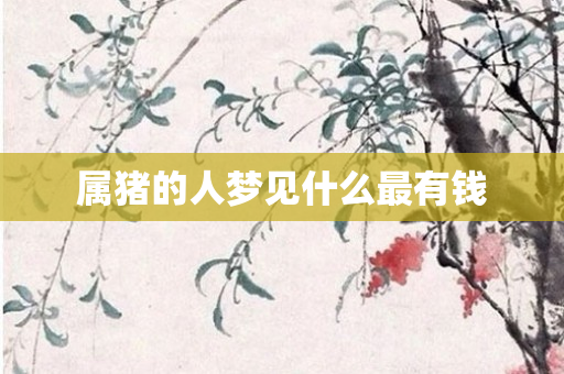 属猪的人梦见什么最有钱