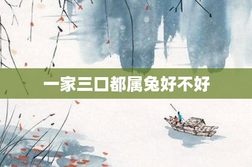 一家三口都属兔好不好
