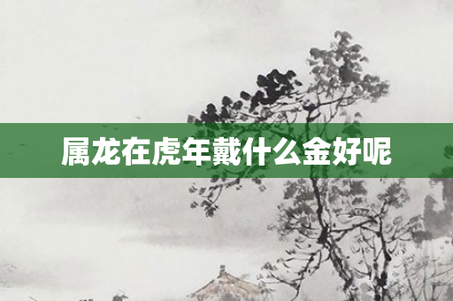 属龙在虎年戴什么金好呢