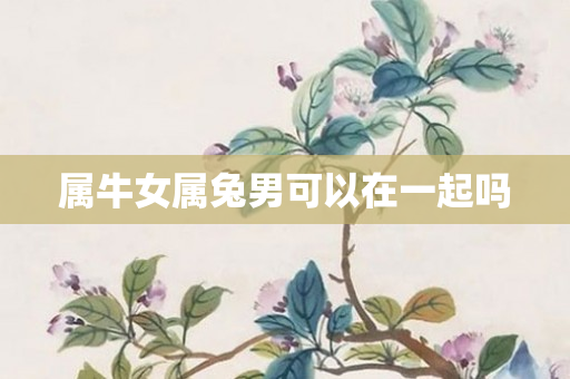 属牛女属兔男可以在一起吗