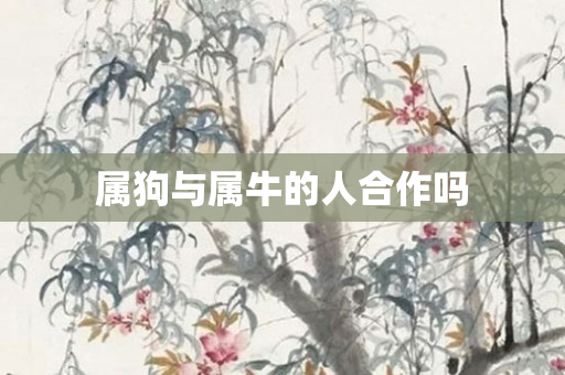 属狗与属牛的人合作吗