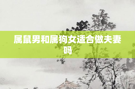 属鼠男和属狗女适合做夫妻吗