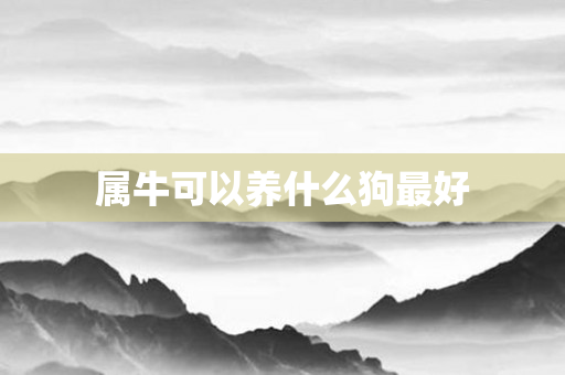 属牛可以养什么狗更好