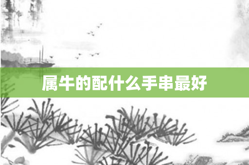 属牛的配什么手串更好