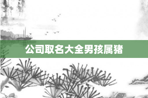 公司取名大全男孩属猪