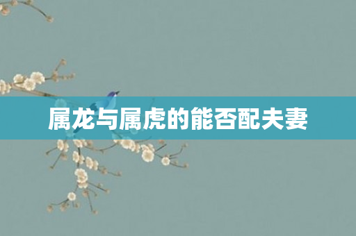 属龙与属虎的能否配夫妻