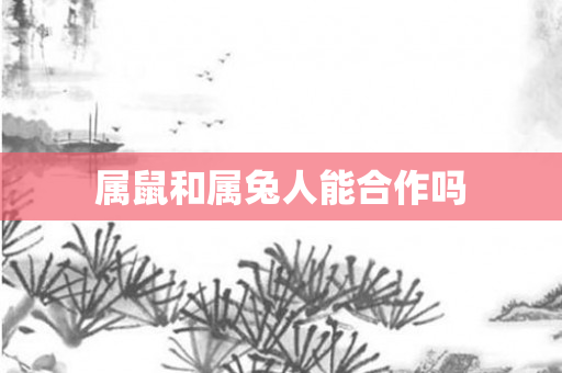 属鼠和属兔人能合作吗